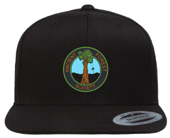 Ancient Forest Society Merchandise — Ancient Forest Society